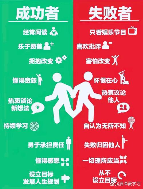 成功与失败案例对比图表
